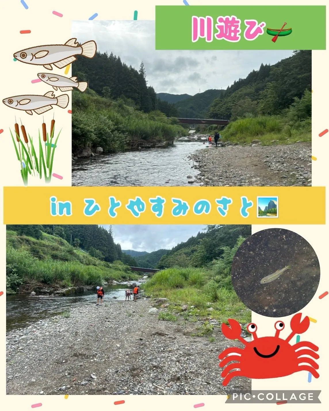 今年最後かな⁉️川遊び🛶