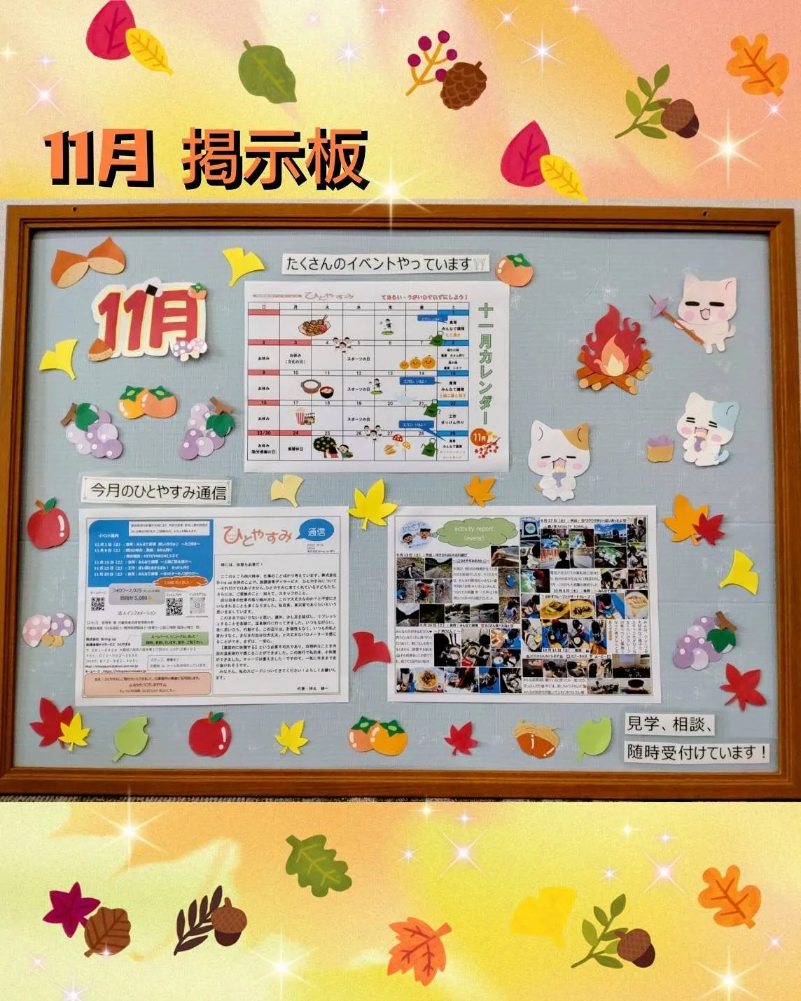 少し🤏遅いご案内となりました💦