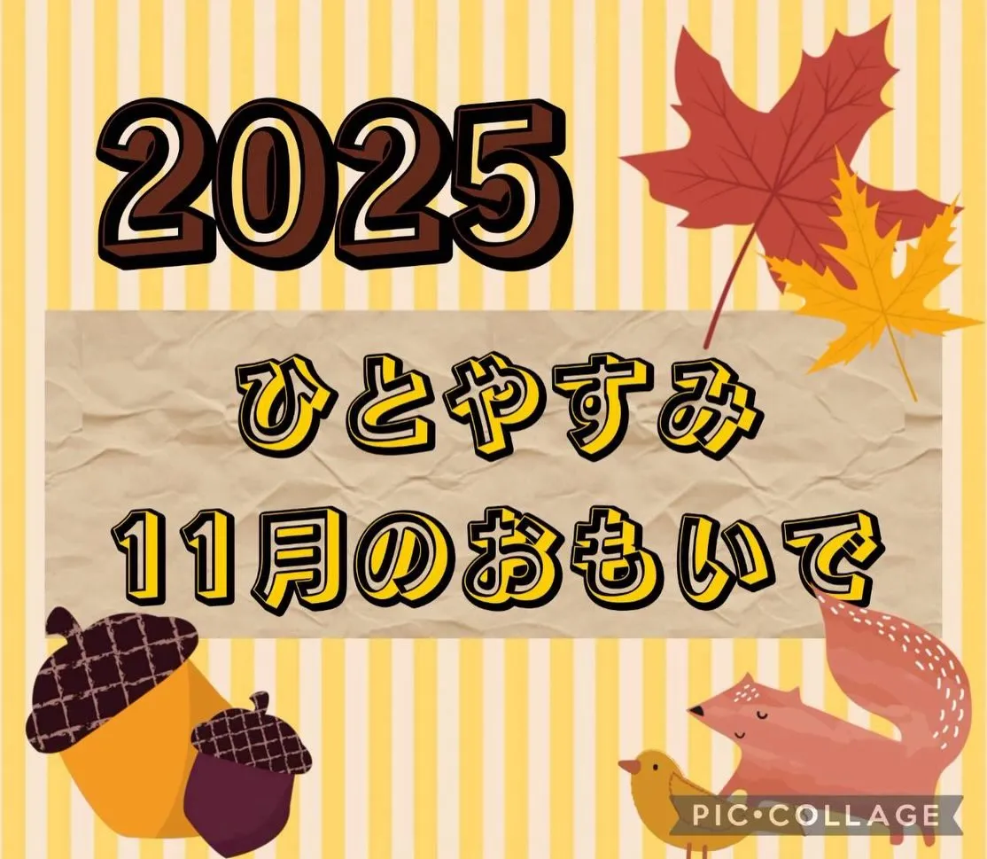 11月のイベントをお伝えします‼️
