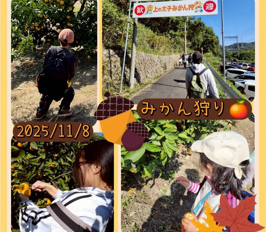 11月のイベントをお伝えします‼️