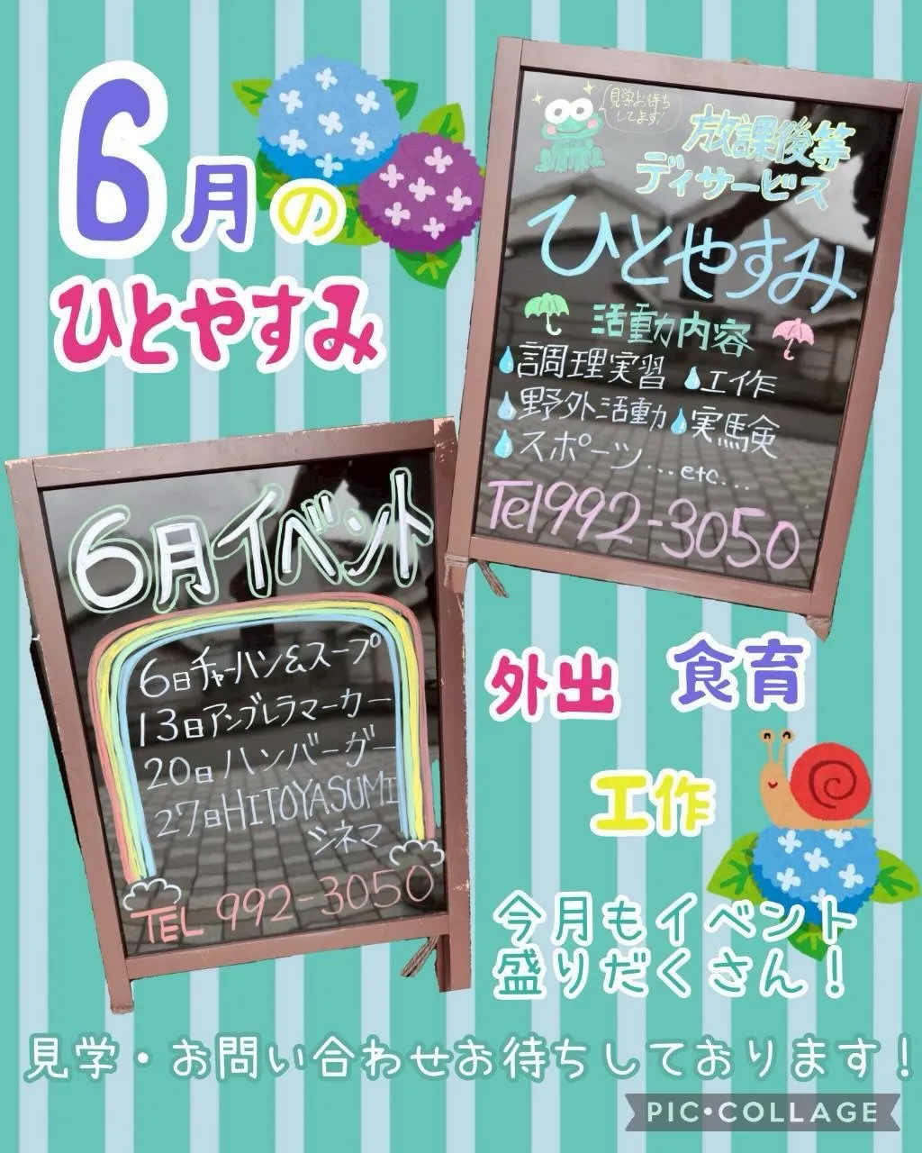 6月だ!
