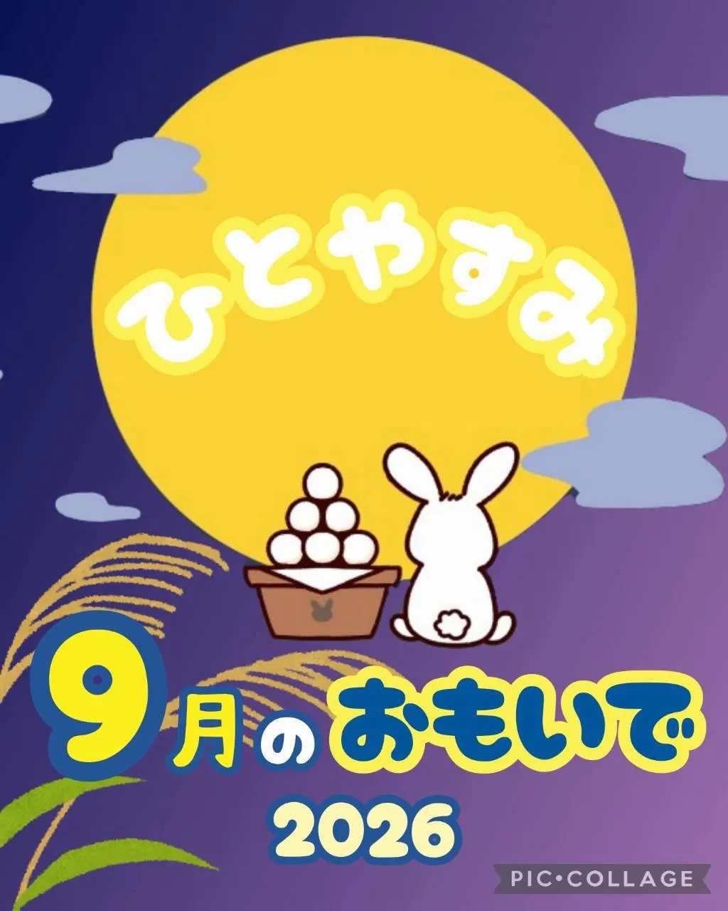 9月の活動をご紹介します✨