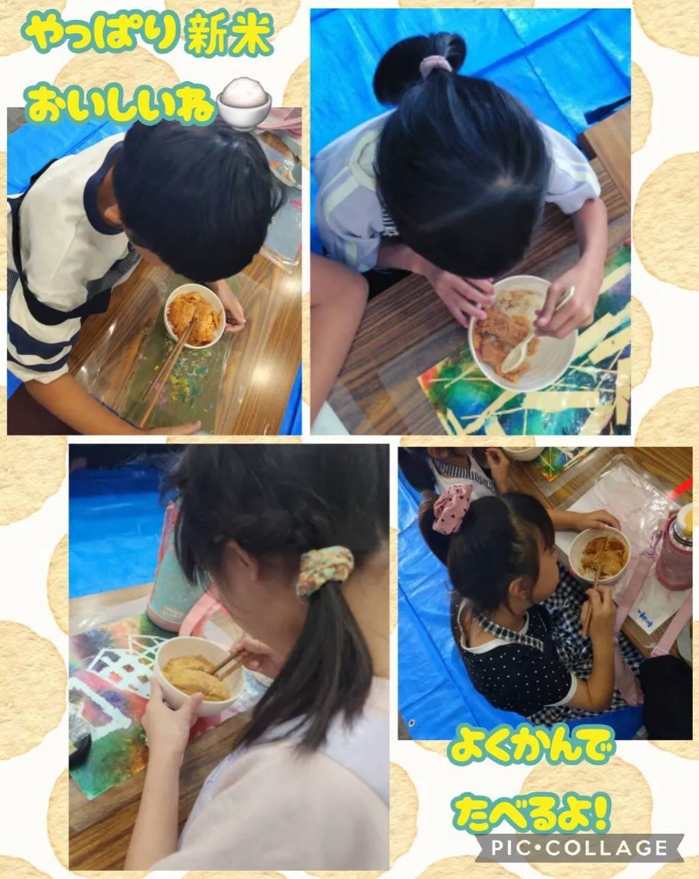 かつ丼作ったよ✨
